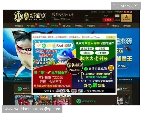 新葡京娱乐注册登录入口最新版本上线，优化登录流程保障账号安全，享受顺畅游戏体验