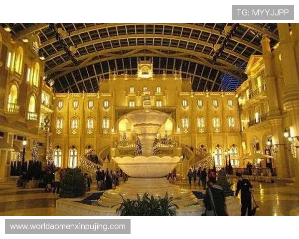 澳门美高梅贵宾厅的特色服务项目介绍满足不同客户的个性化需求