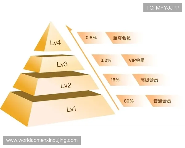 澳门赌场贵宾厅会员制度详解如何通过积分和等级制度提升客户粘性