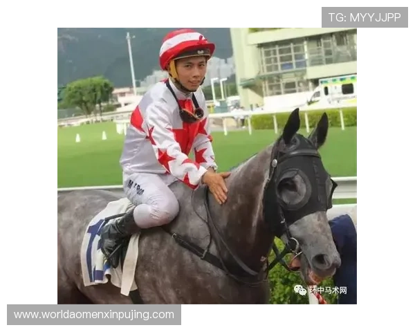 hkjc体育:香港赛马会体育赛事数据分析与投注决策的实用建议 hkjc体育:香港赛马会体育赛事数据分析与投注决策的实用建议